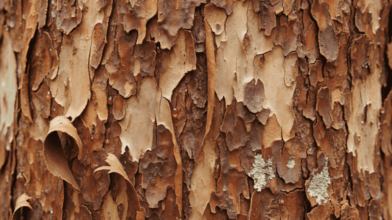 Короста — симптоми, лікування та профілактика.