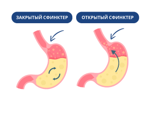 ГЕРХ